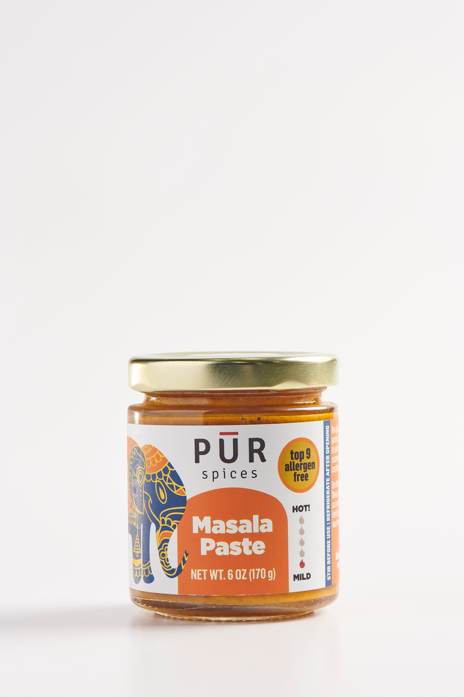 Masala Paste