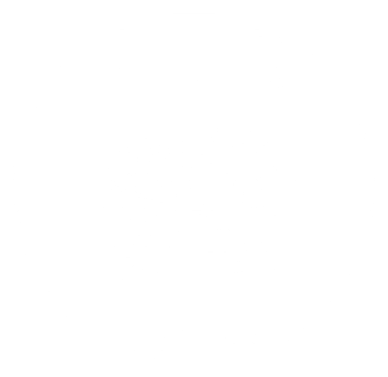 PUR Spices LTD